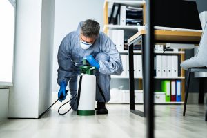 3 Qualities to Look for in a Commercial Pest Control Company