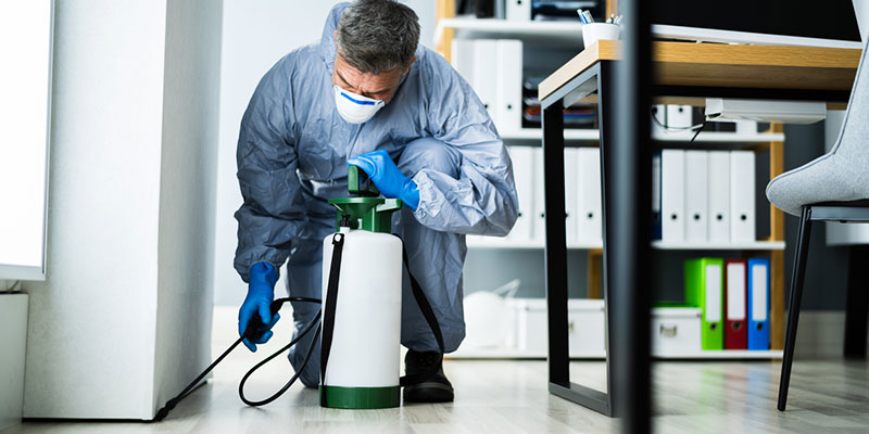3 Qualities to Look for in a Commercial Pest Control Company