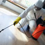 For superior pest control services inside and outside your property, you can count on us.
