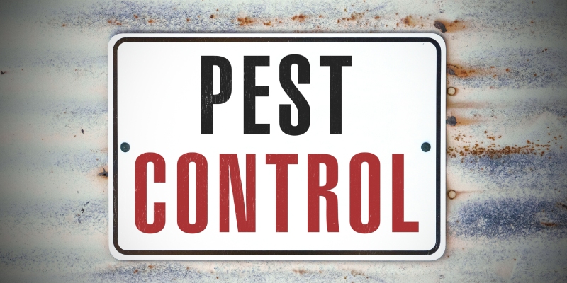 About Abrock Pest Management Inc. in Carrollton, Texas