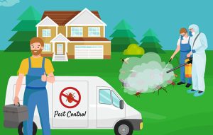4 Signs You Need Professional Pest Control Services