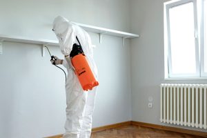 Commercial Pest Control Services Necessary for Your Business