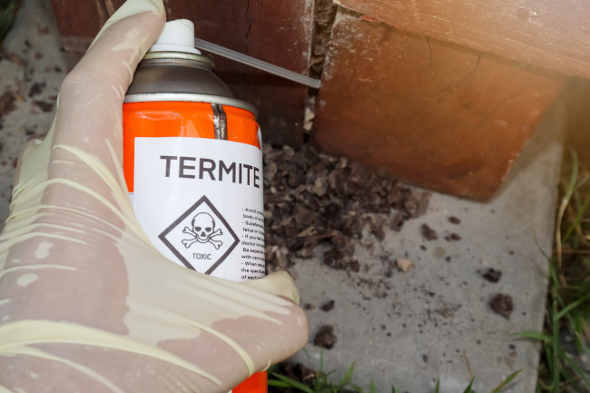 Termite Inspection Specials